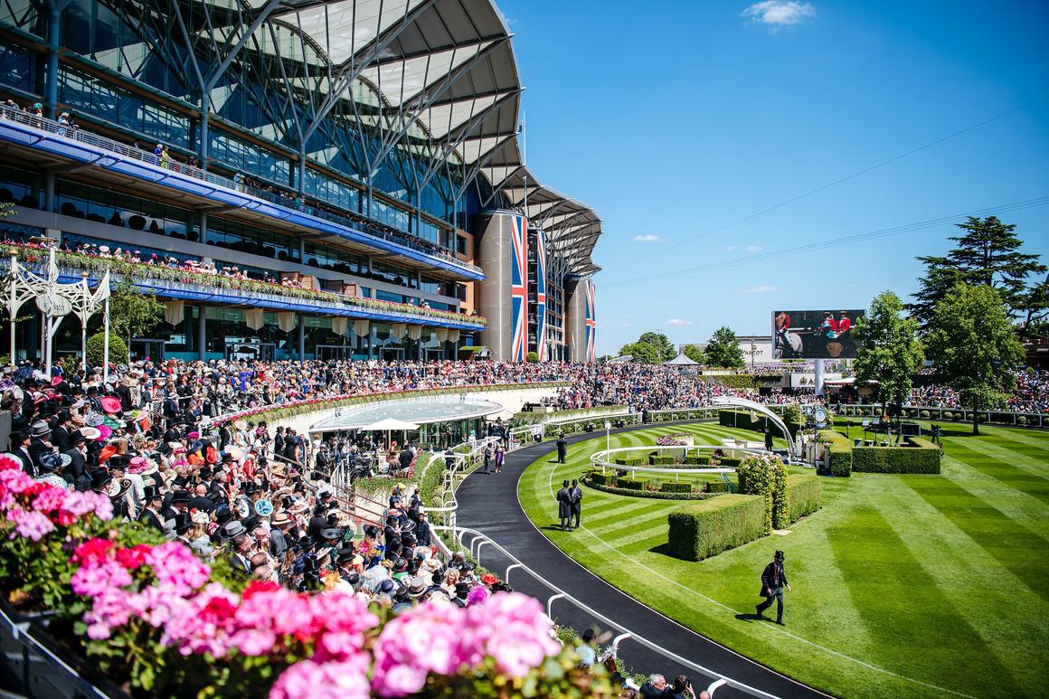 Ascot Racecourse Parade Ring